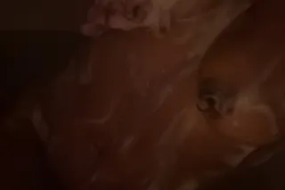 OUTCALLS TO YOUR PLACE🏩💕CAR MEETS ARE BACK 🤪🚗 - Image 2