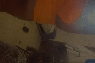 YOUR FAVORITE FREAK IS BACK ❤ - Image 3